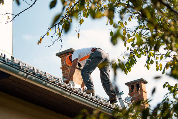 Best Metal Roofing Contractor  in Notasulga, AL